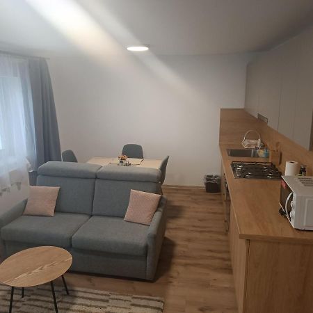 Apartmany Vila Juraj Trenčianske Teplice Dış mekan fotoğraf